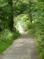 Brundholme Road