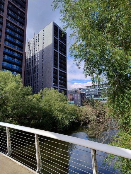 IMG_20250722_164352848_HDR.jpg