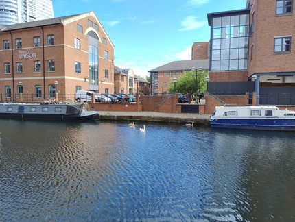 Wildlife on the Water