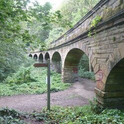 Adel Wood