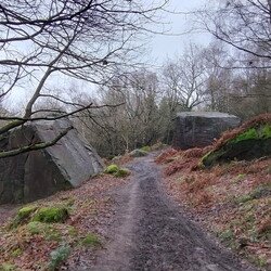 Otley Chevin East
