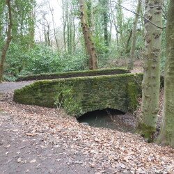 Roundhay Park