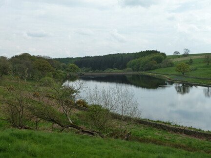 P1220817.JPG